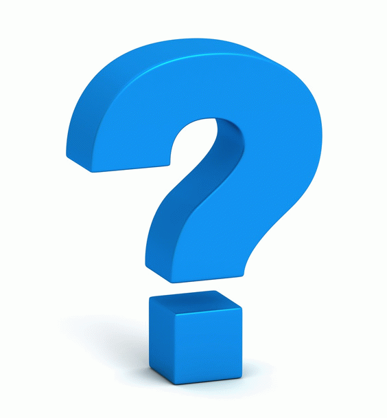 18 نکته کلیدی برای انتخاب حیوان خانگی بی دردسر + معرفی 12 گزینه برتر